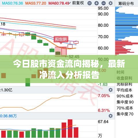 今日股市資金流向揭秘，最新凈流入分析報(bào)告