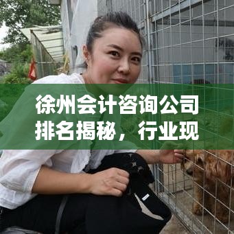 徐州會(huì)計(jì)咨詢公司排名揭秘，行業(yè)現(xiàn)狀及未來(lái)趨勢(shì)分析