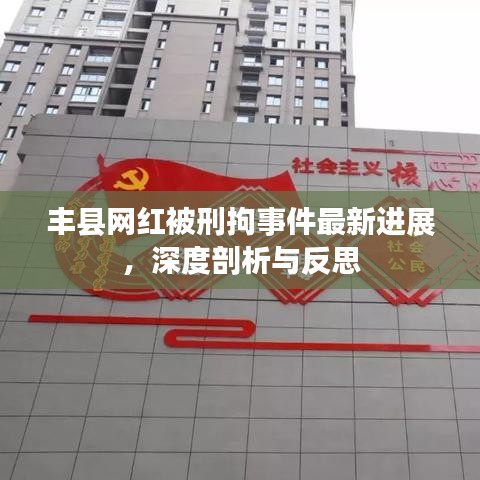 豐縣網(wǎng)紅被刑拘事件最新進(jìn)展，深度剖析與反思