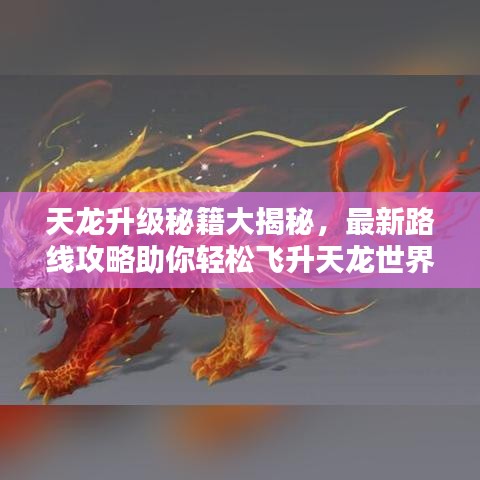 天龍升級(jí)秘籍大揭秘，最新路線攻略助你輕松飛升天龍世界！