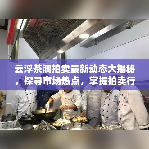 云浮茶洞拍賣最新動態(tài)大揭秘，探尋市場熱點，掌握拍賣行情