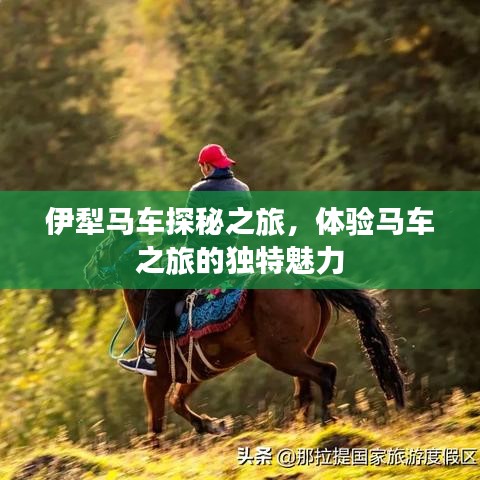 豪門貴胄 第3頁