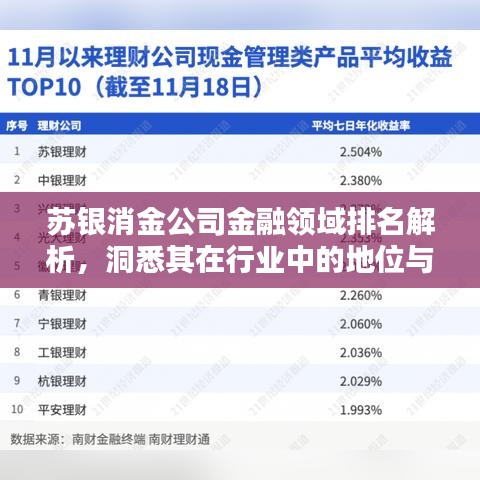 蘇銀消金公司金融領域排名解析，洞悉其在行業(yè)中的地位與表現(xiàn)