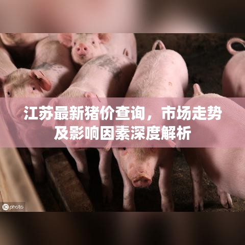 江蘇最新豬價查詢，市場走勢及影響因素深度解析