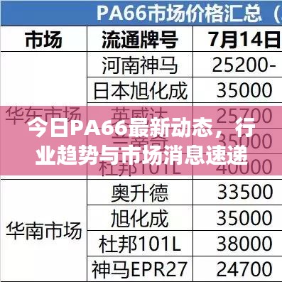 今日PA66最新動態(tài)，行業(yè)趨勢與市場消息速遞
