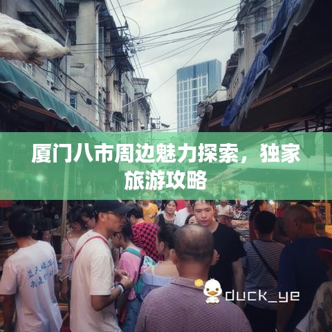 廈門八市周邊魅力探索，獨(dú)家旅游攻略