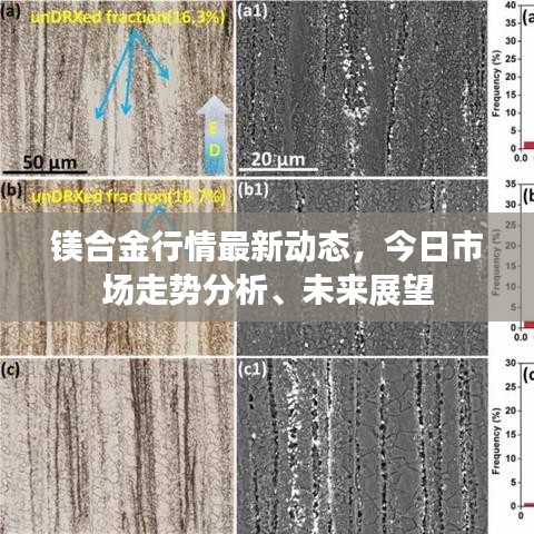 鎂合金行情最新動(dòng)態(tài)，今日市場(chǎng)走勢(shì)分析、未來(lái)展望