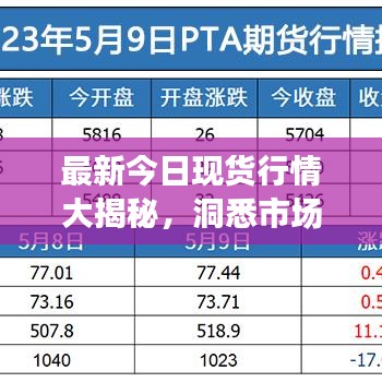 最新今日現(xiàn)貨行情大揭秘，洞悉市場(chǎng)動(dòng)態(tài)，把握投資先機(jī)