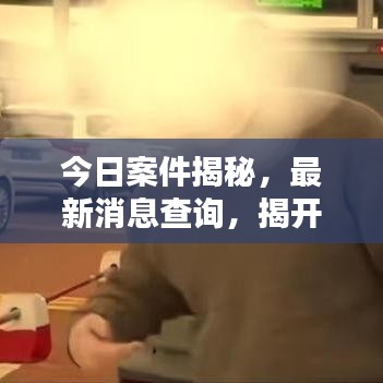 今日案件揭秘，最新消息查詢，揭開真相的面紗