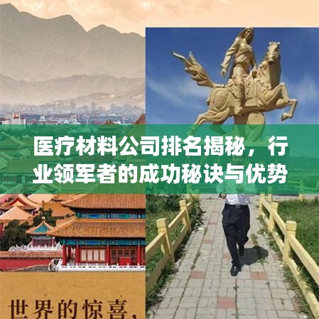 醫(yī)療材料公司排名揭秘，行業(yè)領(lǐng)軍者的成功秘訣與優(yōu)勢(shì)對(duì)比