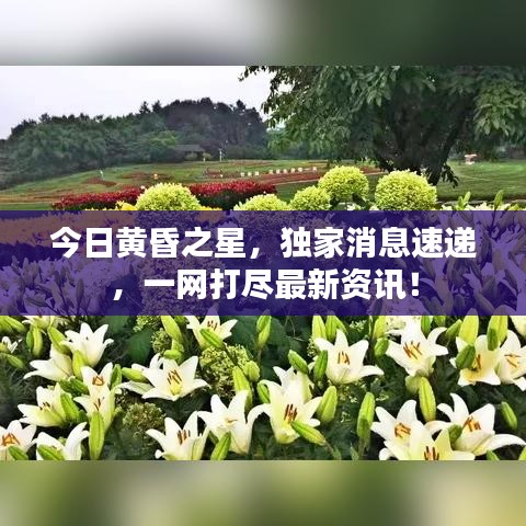 今日黃昏之星，獨(dú)家消息速遞，一網(wǎng)打盡最新資訊！