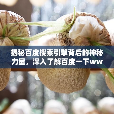 揭秘百度搜索引擎背后的神秘力量，深入了解百度一下ww的奧秘！