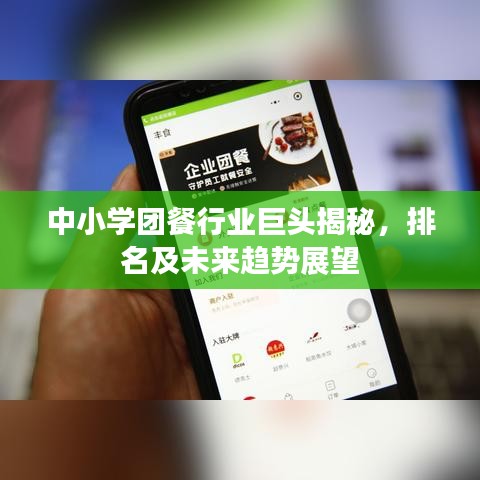 中小學(xué)團(tuán)餐行業(yè)巨頭揭秘，排名及未來(lái)趨勢(shì)展望