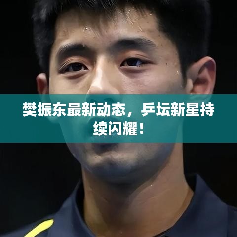 樊振東最新動態(tài)，乒壇新星持續(xù)閃耀！