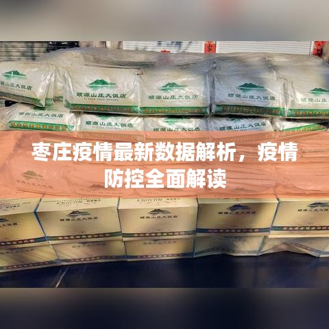棗莊疫情最新數(shù)據(jù)解析，疫情防控全面解讀