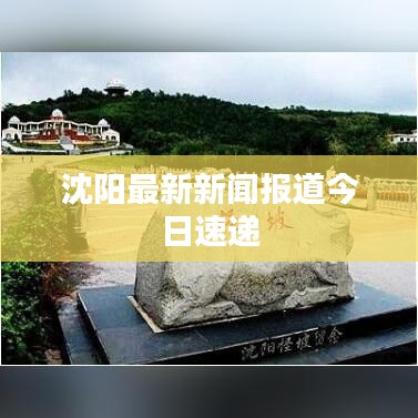 2025年5月10日 第7頁(yè)