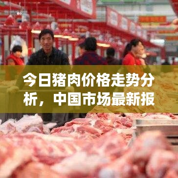 今日豬肉價格走勢分析，中國市場最新報價及趨勢預測