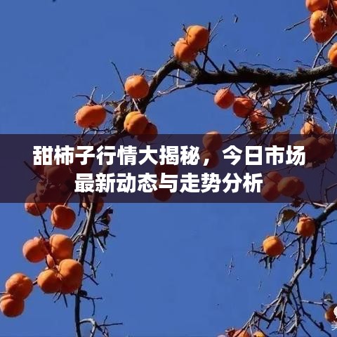 2025年5月10日 第5頁(yè)