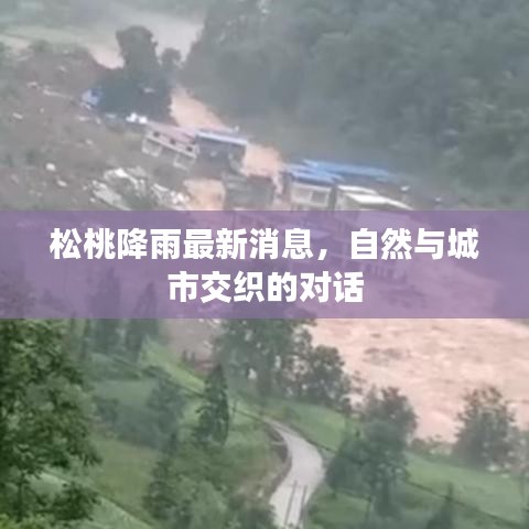 松桃降雨最新消息，自然與城市交織的對話