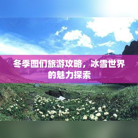 冬季圖們旅游攻略，冰雪世界的魅力探索