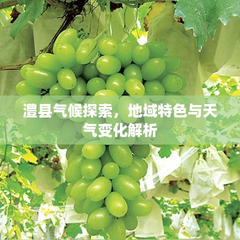 澧縣氣候探索，地域特色與天氣變化解析