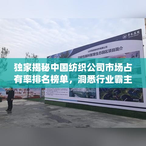 獨(dú)家揭秘中國(guó)紡織公司市場(chǎng)占有率排名榜單，洞悉行業(yè)霸主及發(fā)展趨勢(shì)！