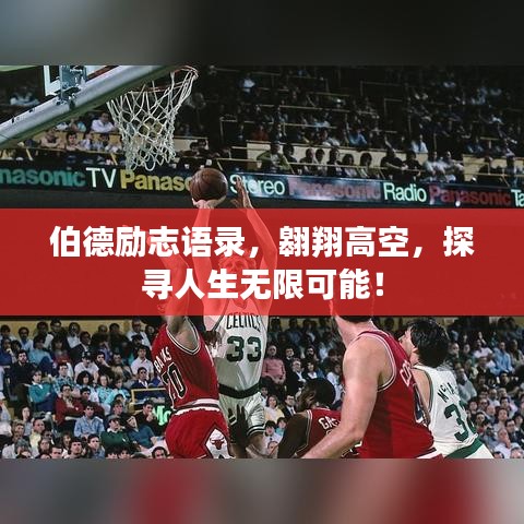 伯德勵志語錄，翱翔高空，探尋人生無限可能！