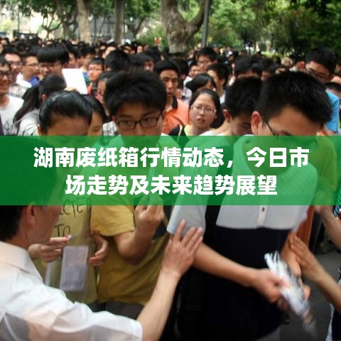 湖南廢紙箱行情動(dòng)態(tài)，今日市場(chǎng)走勢(shì)及未來(lái)趨勢(shì)展望