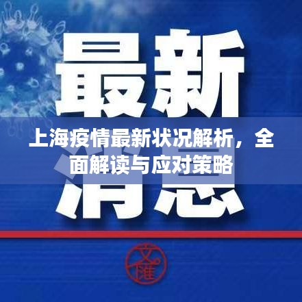 上海疫情最新狀況解析，全面解讀與應(yīng)對(duì)策略