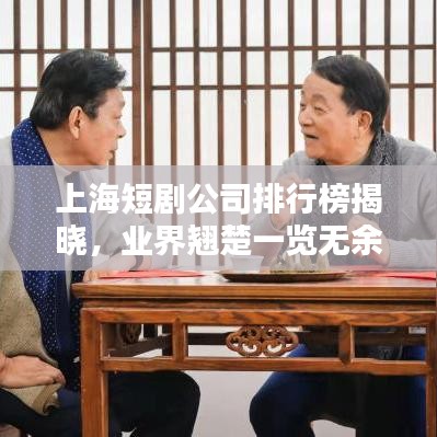 上海短劇公司排行榜揭曉，業(yè)界翹楚一覽無余！