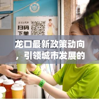 龍口最新政策動向，引領(lǐng)城市發(fā)展的戰(zhàn)略揭秘