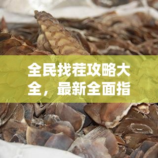 全民找茬攻略大全，最新全面指南，助你輕松通關(guān)！