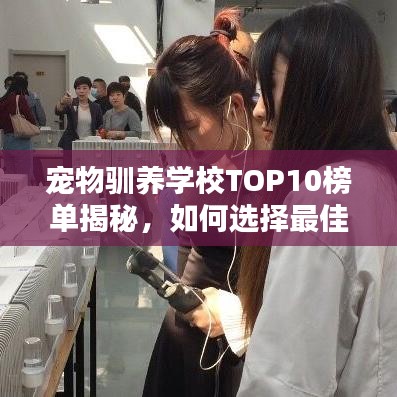 寵物馴養(yǎng)學(xué)校TOP10榜單揭秘，如何選擇最佳學(xué)校為愛寵提供卓越教育