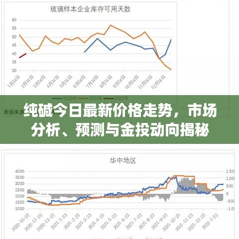 純堿今日最新價(jià)格走勢(shì)，市場(chǎng)分析、預(yù)測(cè)與金投動(dòng)向揭秘