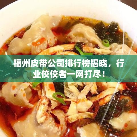 福州皮帶公司排行榜揭曉，行業(yè)佼佼者一網(wǎng)打盡！
