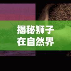 揭秘獅子在自然界中的地位排名，王者之獅榮耀上榜！