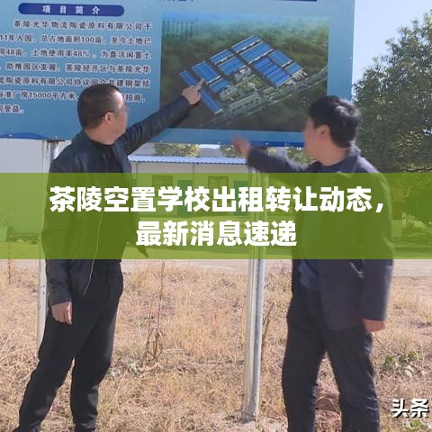茶陵空置學校出租轉(zhuǎn)讓動態(tài)，最新消息速遞