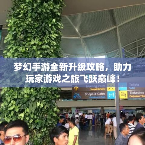 夢(mèng)幻手游全新升級(jí)攻略，助力玩家游戲之旅飛躍巔峰！