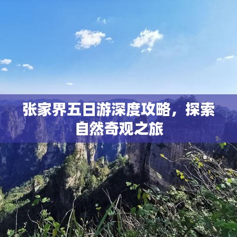 張家界五日游深度攻略，探索自然奇觀之旅