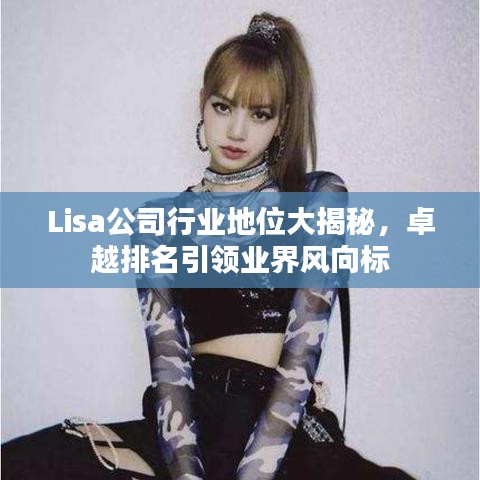 Lisa公司行業(yè)地位大揭秘，卓越排名引領(lǐng)業(yè)界風(fēng)向標(biāo)