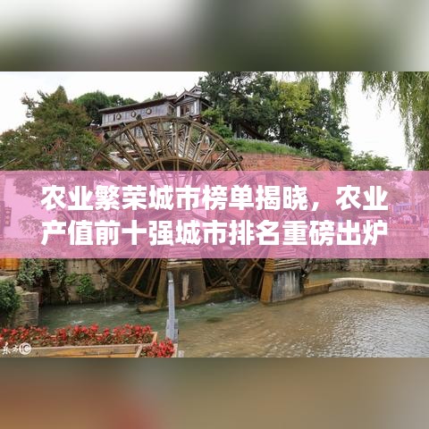 農(nóng)業(yè)繁榮城市榜單揭曉，農(nóng)業(yè)產(chǎn)值前十強城市排名重磅出爐！