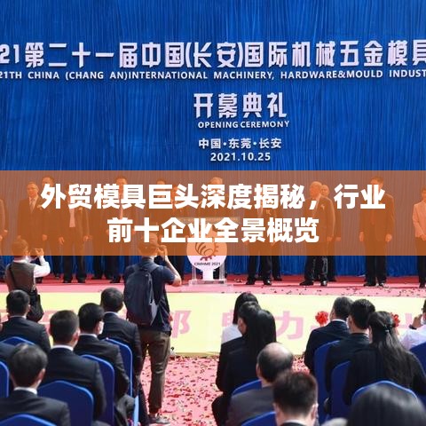 外貿(mào)模具巨頭深度揭秘，行業(yè)前十企業(yè)全景概覽