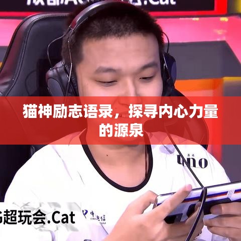 貓神勵志語錄，探尋內(nèi)心力量的源泉