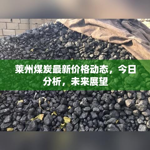 萊州煤炭最新價格動態(tài)，今日分析，未來展望