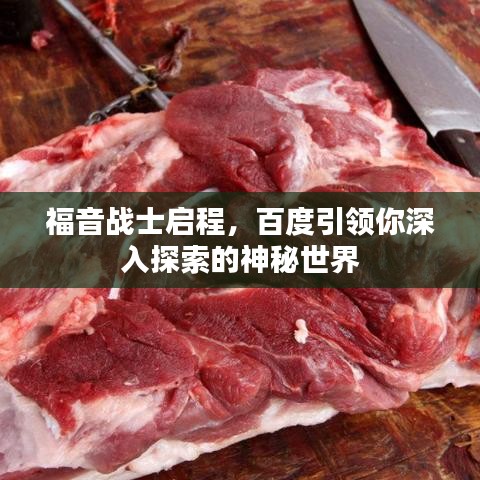 福音戰(zhàn)士啟程，百度引領(lǐng)你深入探索的神秘世界