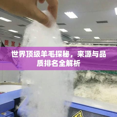 世界頂級(jí)羊毛探秘，來(lái)源與品質(zhì)排名全解析