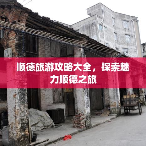 順德旅游攻略大全，探索魅力順德之旅