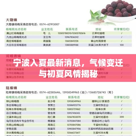 寧波入夏最新消息，氣候變遷與初夏風情揭秘