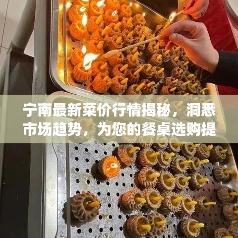 寧南最新菜價(jià)行情揭秘，洞悉市場(chǎng)趨勢(shì)，為您的餐桌選購(gòu)提供指南
