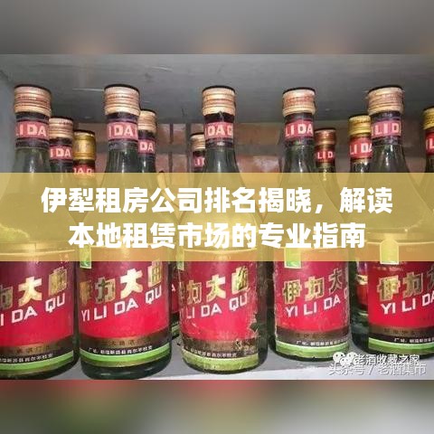 伊犁租房公司排名揭曉，解讀本地租賃市場(chǎng)的專業(yè)指南